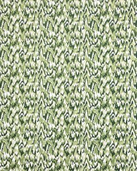 Teodora LCT1064 002 Verde by   