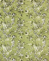 Carlota LCT1065 001 Verde by   