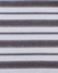 Teodosio LCT1125 003 Topo by   