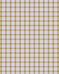 Adriano LCT1126 001 Aceite by   