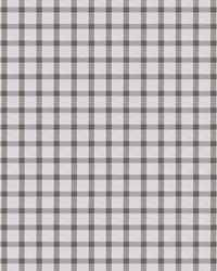 Adriano LCT1126 007 Topo by   