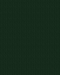 Conde De Aranda LCT1133 014 Verde by   