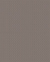 Sobresaliente LCT1138 007 Chocolate by   