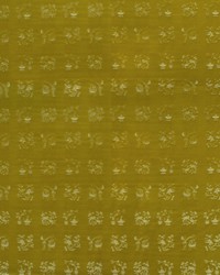 Neon LCT1139 002 Oro by   