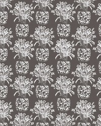 Hora Espejo LCT1142 001 Marron by   