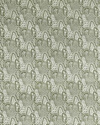 Jota LCT1150 003 Verde by   