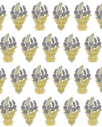 CELORIO WP LCW1020 003 OCRE by  Kravet Wallcovering 