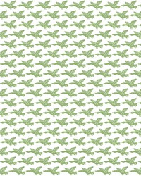 LUANCO WP LCW1021 005 VERDE by  Kravet Wallcovering 