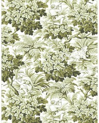 VEGACERVERA WP LCW1033 002 VERDE by  Kravet Wallcovering 