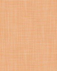 MAHON LCW1040 003 CALABAZA by  Kravet Wallcovering 