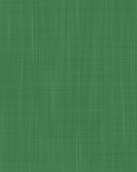 MAHON LCW1040 004 VERDE by  Kravet Wallcovering 