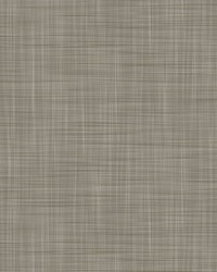 MAHON LCW1040 006 GRIS by  Kravet Wallcovering 