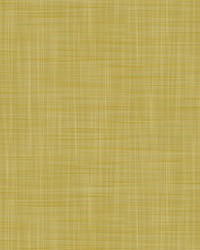 MAHON LCW1040 007 LIMA by  Kravet Wallcovering 