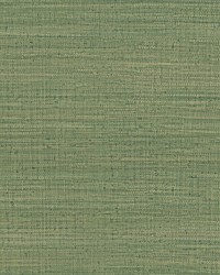 AYLLON LCW5469 002 VERDE by  Futura Vinyls 