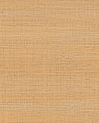 AYLLON LCW5469 009 PAJA by  Futura Vinyls 