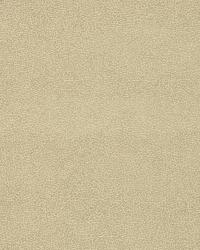 Loris 106  by  Kravet 