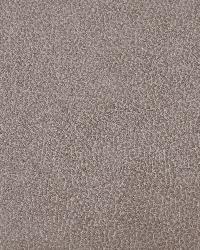 Loris 11  by  Kravet 