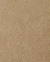 Loris 30  by  Kravet 