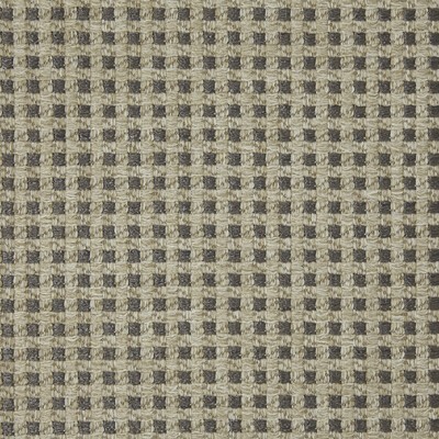 Kravet Bovary LZ-30336 09 LIZZO INDOOR/OUTDOOR LZ-30336.09 Grey Upholstery -  Blend Houndstooth  Fabric