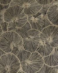 Lotus LZ-30357 05  by  Kravet 