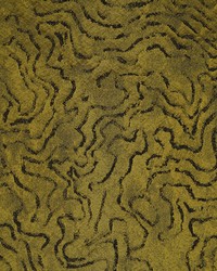 Marais LZ-30395 05  by  Kravet 