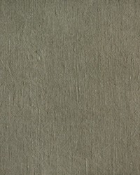 Linnet LZ-30415 13  by  Kravet 