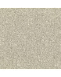 Elephas LZ-30443 06  by   