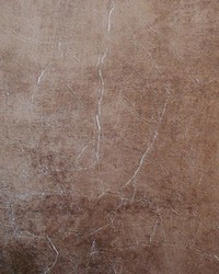 Sfumatura Lzw-30185.21518 by   