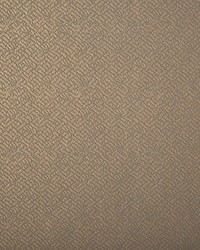 Tonalita Lzw-30187.21573 by   