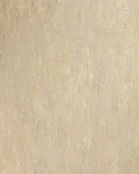 NILO LZW-30189 07 by   