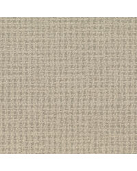 TAPPETO LZW-30199 16 by  Kravet Wallcovering 