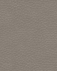 Metaliskin 11 Pewter by  Kravet 