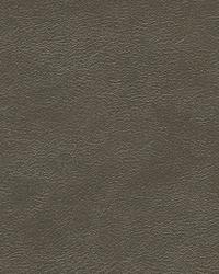 Metals 11 Pewter by  Kravet 