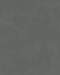 KRAVET DESIGN MOJARI 52 by  Stout 