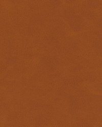 KRAVET DESIGN MOJARI 6 by  Stout 