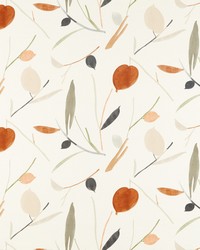 Oxalis NABS120780 SCN Spice/raffia by  Naugahyde 