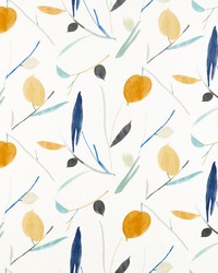 Oxalis NABS120781 SCN Papaya/honey by  Naugahyde 