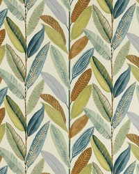 Hikkaduwa NESF120871 SCN Spiced by  Naugahyde 