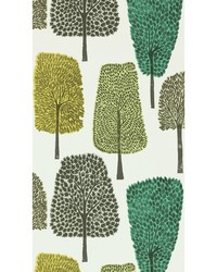 Cedar NFIK111083 SCN Slate/apple/ivy by   