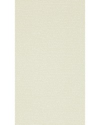 Totak NFIK111094 SCN Parchment by   