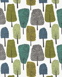 Cedar NFIK120354 SCN Slate/apple/ivy by   