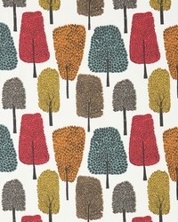 Cedar NFIK120356 SCN Tangerine/sulphur/chilli by   