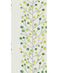 Berry Tree Wp NMEL110206 SCN  by   