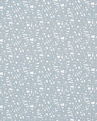 Saxony NNUE132633 SCN Slate by  Naugahyde 