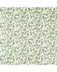 Sweet Bay NSCD121314 SCN Forest by   