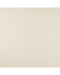 Raft Stripe NSCD121328 SCN Mushroom by   