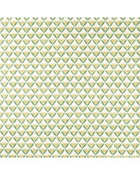 Tulip Trellis NSCD121330 SCN Honey by   