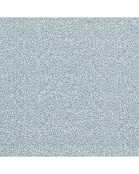 Duckweed NSCD134625 SCN Coast Blue by   
