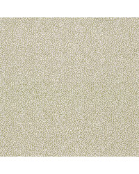 Duckweed NSCD134626 SCN Lawn by   
