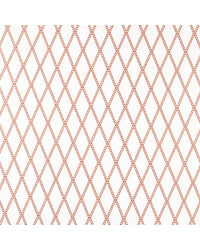 Hayloft NSCD134677 SCN Tomato by   